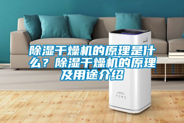 除濕干燥機的原理是什么？除濕干燥機的原理及用途介紹