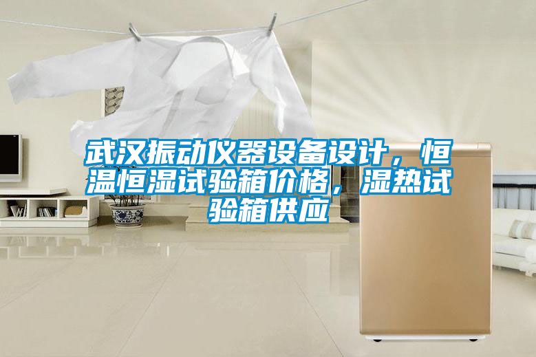 武漢振動(dòng)儀器設(shè)備設(shè)計(jì)，恒溫恒濕試驗(yàn)箱價(jià)格，濕熱試驗(yàn)箱供應(yīng)