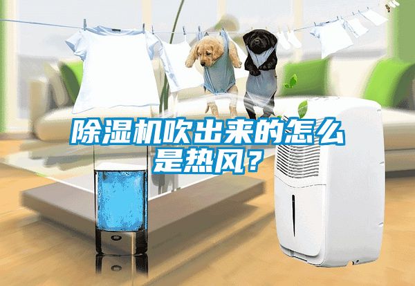 除濕機(jī)吹出來(lái)的怎么是熱風(fēng)？