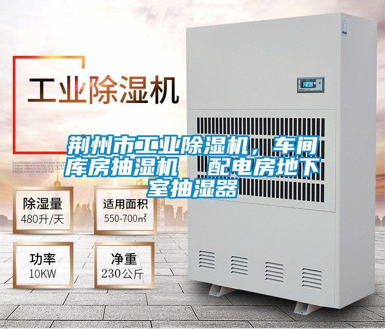 荊州市工業(yè)除濕機(jī)，車間庫(kù)房抽濕機(jī)  配電房地下室抽濕器