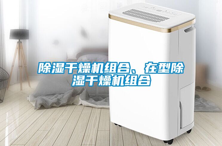 除濕干燥機(jī)組合、在型除濕干燥機(jī)組合