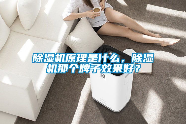 除濕機(jī)原理是什么，除濕機(jī)那個(gè)牌子效果好？