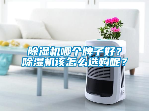 除濕機(jī)哪個(gè)牌子好？除濕機(jī)該怎么選購(gòu)呢？