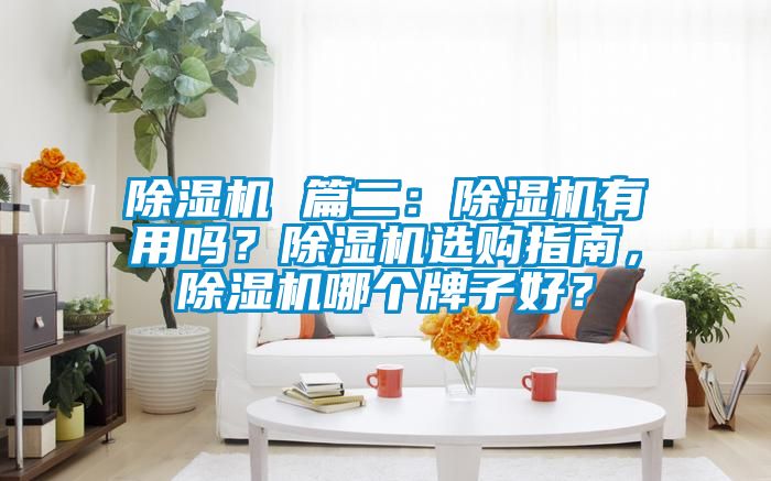 除濕機(jī) 篇二：除濕機(jī)有用嗎？除濕機(jī)選購指南，除濕機(jī)哪個(gè)牌子好？