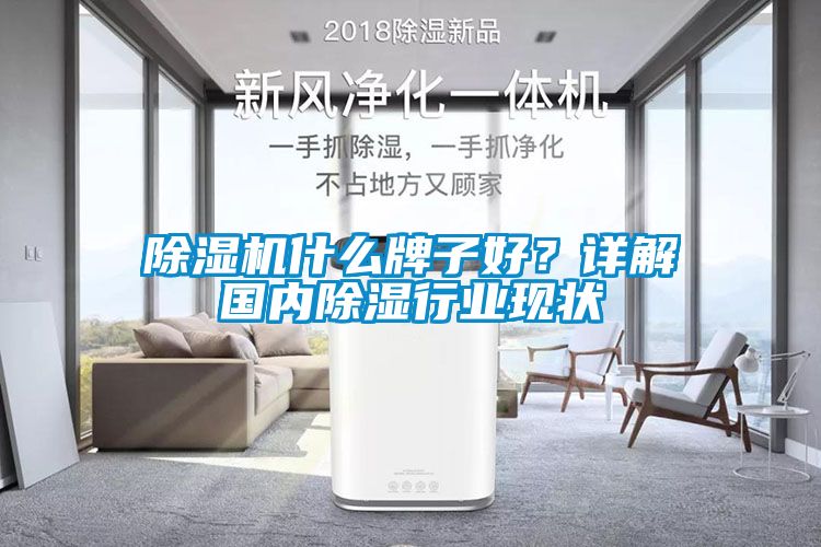 除濕機(jī)什么牌子好？詳解國內(nèi)除濕行業(yè)現(xiàn)狀