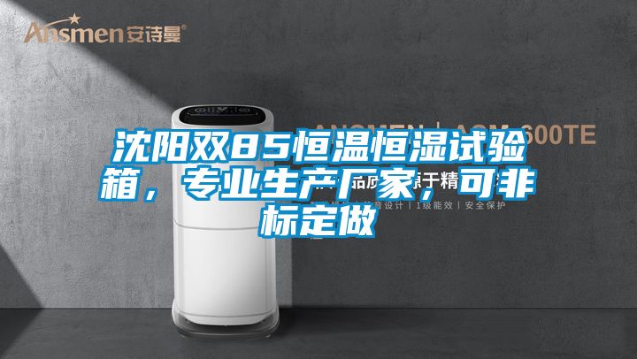 沈陽(yáng)雙85恒溫恒濕試驗(yàn)箱，專業(yè)生產(chǎn)廠家，可非標(biāo)定做