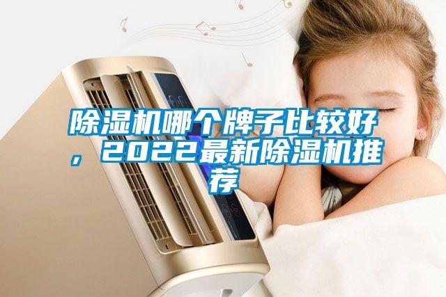除濕機(jī)哪個牌子比較好，2022最新除濕機(jī)推薦