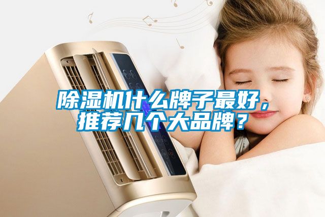 除濕機什么牌子最好，推薦幾個大品牌？