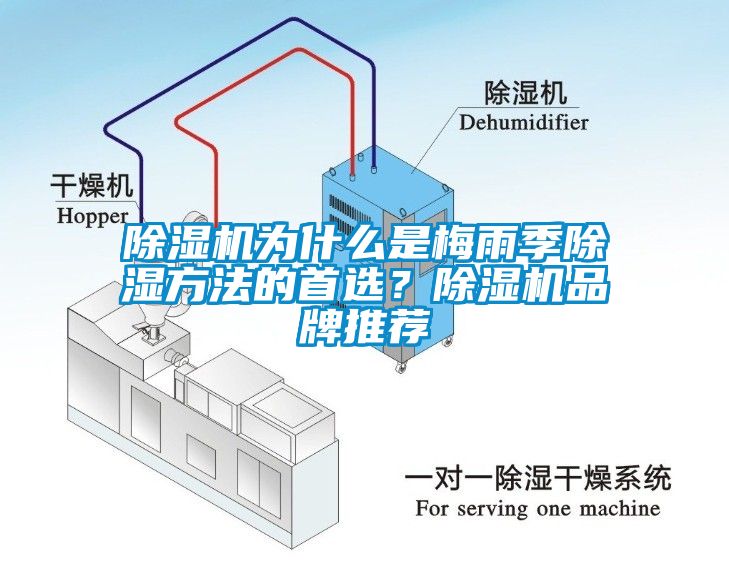 除濕機(jī)為什么是梅雨季除濕方法的首選？除濕機(jī)品牌推薦
