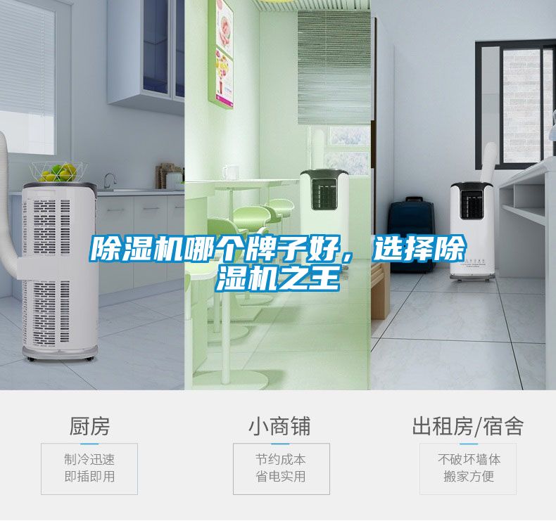 除濕機(jī)哪個(gè)牌子好，選擇除濕機(jī)之王
