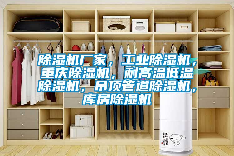 除濕機(jī)廠家，工業(yè)除濕機(jī)，重慶除濕機(jī)，耐高溫低溫除濕機(jī)，吊頂管道除濕機(jī)，庫(kù)房除濕機(jī)