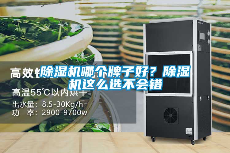 除濕機(jī)哪個(gè)牌子好？除濕機(jī)這么選不會(huì)錯(cuò)