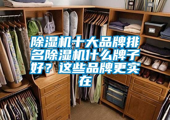 除濕機(jī)十大品牌排名除濕機(jī)什么牌子好？這些品牌更實(shí)在