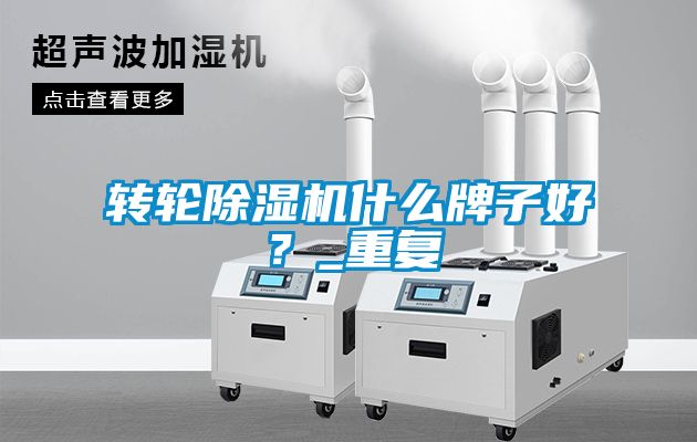 轉(zhuǎn)輪除濕機(jī)什么牌子好？_重復(fù)