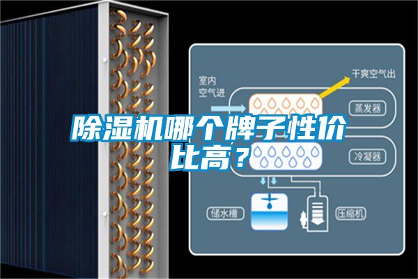 除濕機(jī)哪個(gè)牌子性價(jià)比高？