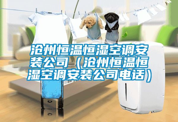 滄州恒溫恒濕空調(diào)安裝公司（滄州恒溫恒濕空調(diào)安裝公司電話(huà)）