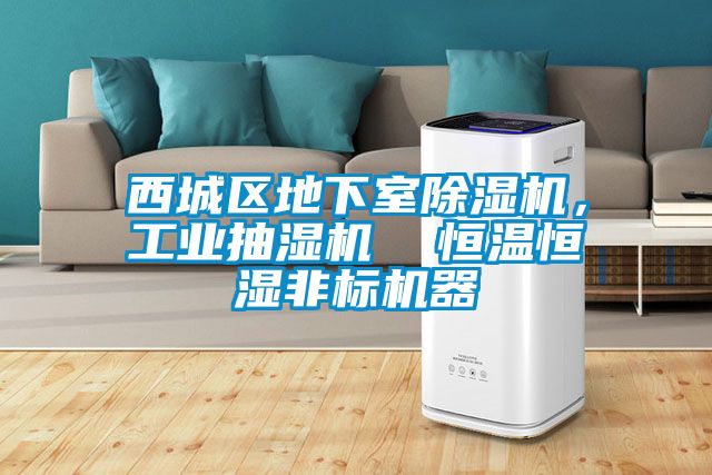 西城區(qū)地下室除濕機(jī)，工業(yè)抽濕機(jī)  恒溫恒濕非標(biāo)機(jī)器