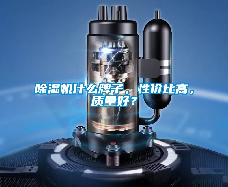除濕機(jī)什么牌子，性價(jià)比高，質(zhì)量好？