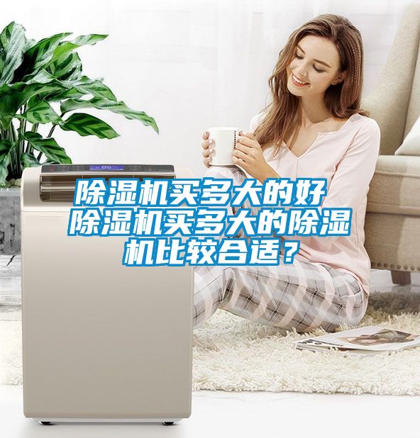 除濕機(jī)買多大的好 除濕機(jī)買多大的除濕機(jī)比較合適？