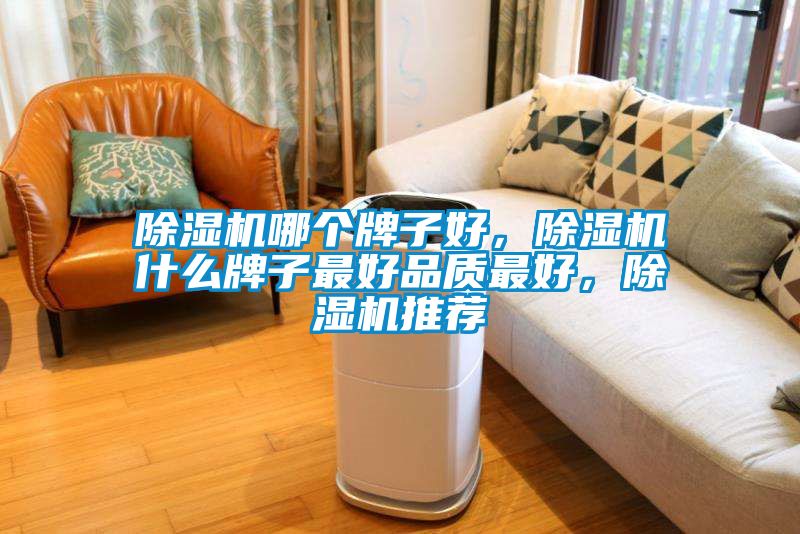除濕機(jī)哪個(gè)牌子好，除濕機(jī)什么牌子最好品質(zhì)最好，除濕機(jī)推薦