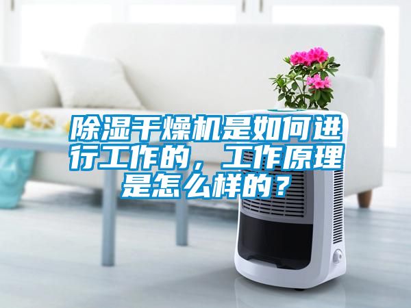 除濕干燥機是如何進行工作的，工作原理是怎么樣的？