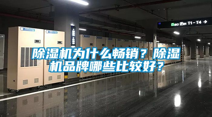 除濕機(jī)為什么暢銷？除濕機(jī)品牌哪些比較好？
