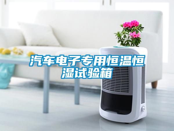 汽車(chē)電子專用恒溫恒濕試驗(yàn)箱
