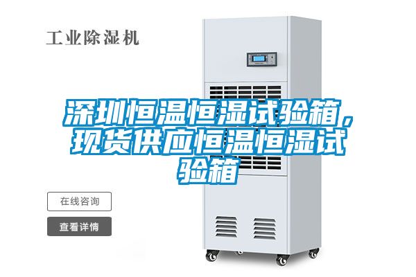 深圳恒溫恒濕試驗箱，現(xiàn)貨供應(yīng)恒溫恒濕試驗箱