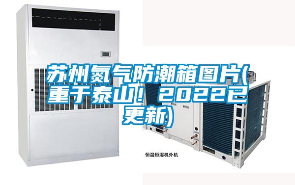 蘇州氮?dú)夥莱毕鋱D片(重于泰山！2022已更新)
