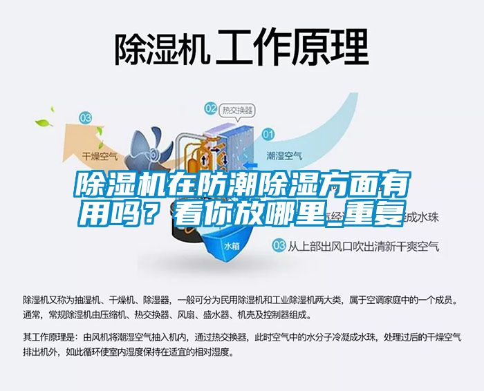 除濕機(jī)在防潮除濕方面有用嗎？看你放哪里_重復(fù)
