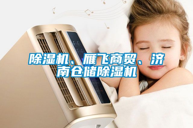 除濕機、雁飛商貿(mào)、濟南倉儲除濕機