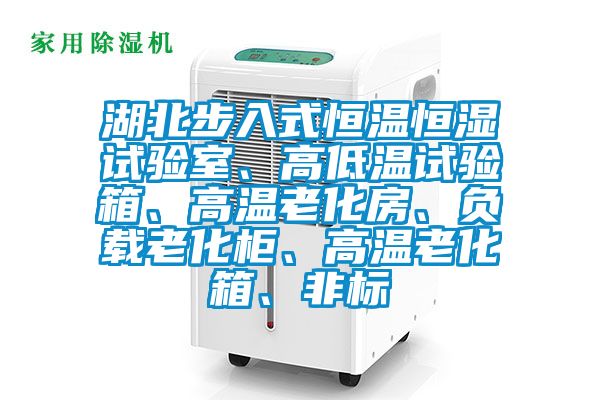 湖北步入式恒溫恒濕試驗(yàn)室、高低溫試驗(yàn)箱、高溫老化房、負(fù)載老化柜、高溫老化箱、非標(biāo)