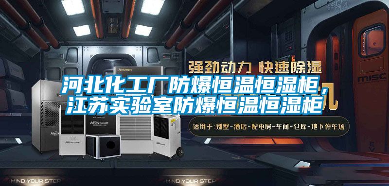 河北化工廠(chǎng)防爆恒溫恒濕柜，江蘇實(shí)驗(yàn)室防爆恒溫恒濕柜