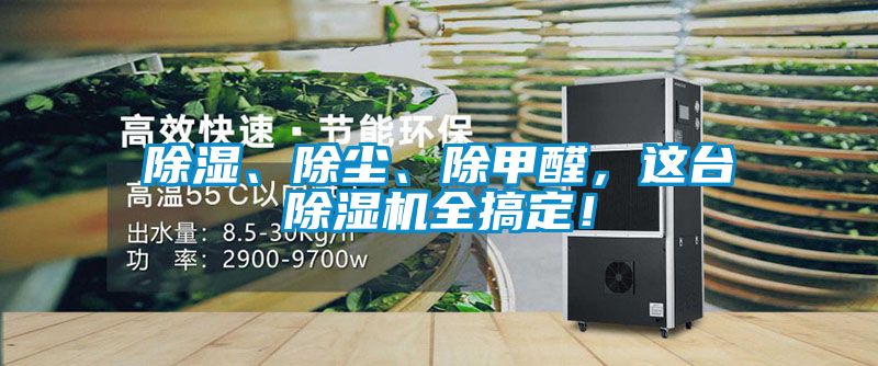 除濕、除塵、除甲醛，這臺(tái)除濕機(jī)全搞定！