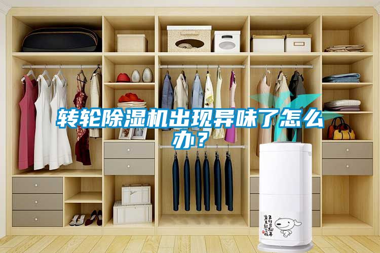 轉(zhuǎn)輪除濕機(jī)出現(xiàn)異味了怎么辦？