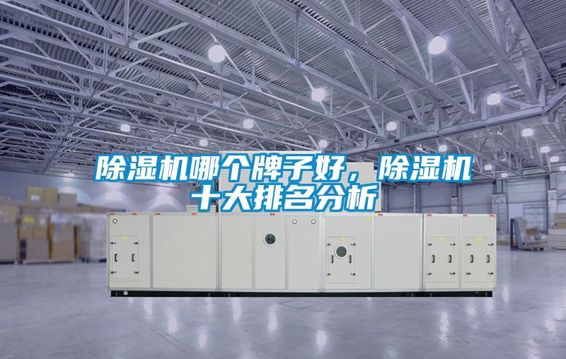 除濕機(jī)哪個(gè)牌子好，除濕機(jī)十大排名分析