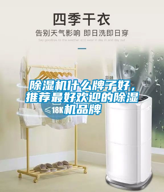 除濕機(jī)什么牌子好，推薦最好歡迎的除濕機(jī)品牌