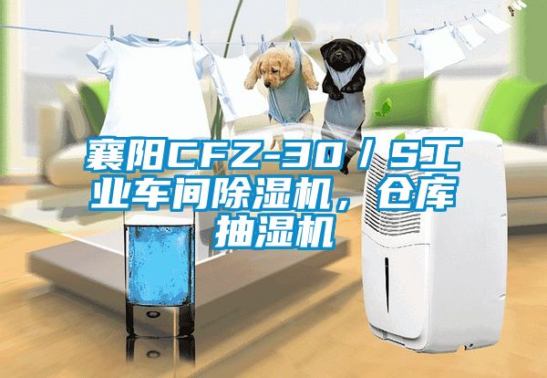 襄陽CFZ-30／S工業(yè)車間除濕機(jī)，倉庫抽濕機(jī)