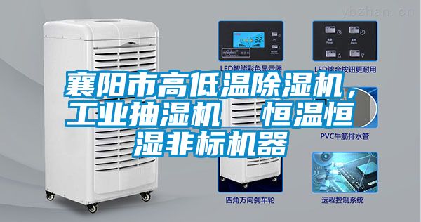 襄陽市高低溫除濕機(jī)，工業(yè)抽濕機(jī)  恒溫恒濕非標(biāo)機(jī)器