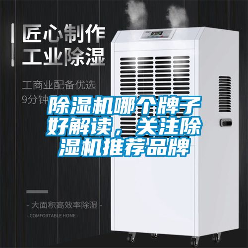 除濕機哪個牌子好解讀，關(guān)注除濕機推薦品牌