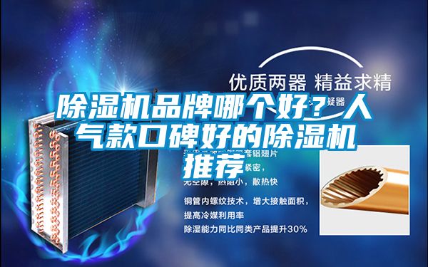 除濕機品牌哪個好？人氣款口碑好的除濕機推薦