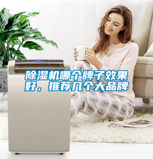除濕機(jī)哪個(gè)牌子效果好，推薦幾個(gè)大品牌