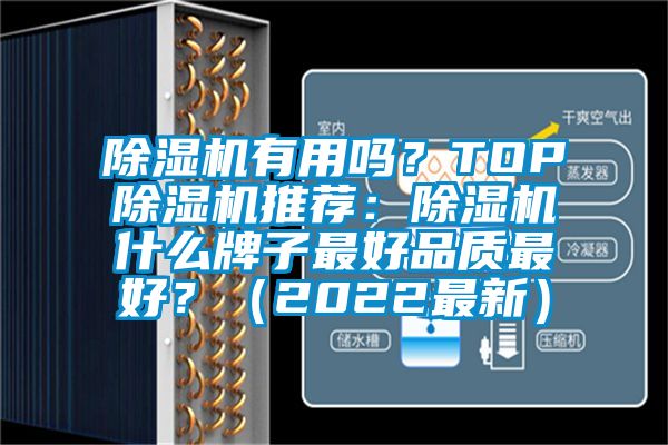 除濕機有用嗎？TOP除濕機推薦：除濕機什么牌子最好品質最好？（2022最新）