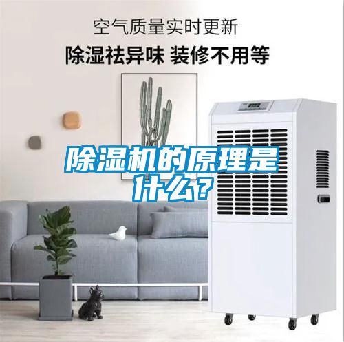 除濕機的原理是什么？