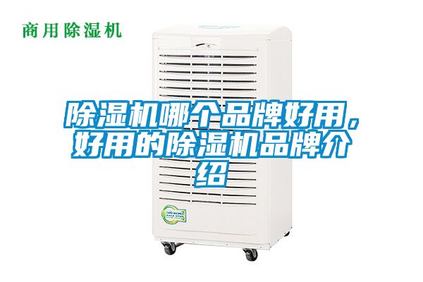 除濕機(jī)哪個(gè)品牌好用，好用的除濕機(jī)品牌介紹
