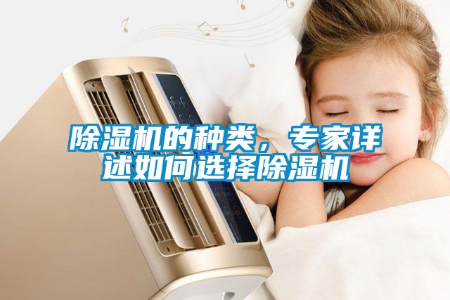 除濕機(jī)的種類，專家詳述如何選擇除濕機(jī)