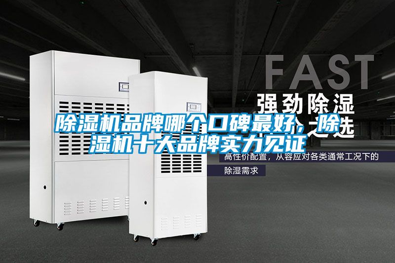 除濕機(jī)品牌哪個(gè)口碑最好，除濕機(jī)十大品牌實(shí)力見(jiàn)證