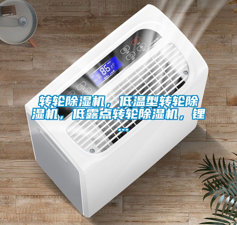 轉(zhuǎn)輪除濕機，低溫型轉(zhuǎn)輪除濕機，低露點轉(zhuǎn)輪除濕機，鋰 ...