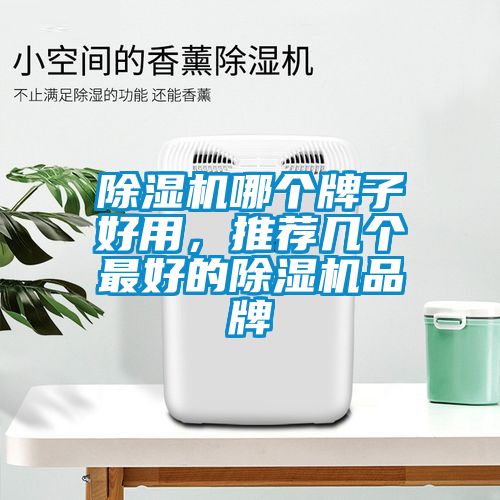 除濕機哪個牌子好用，推薦幾個最好的除濕機品牌