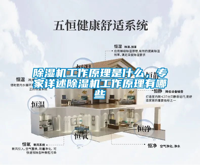 除濕機工作原理是什么，專家詳述除濕機工作原理有哪些